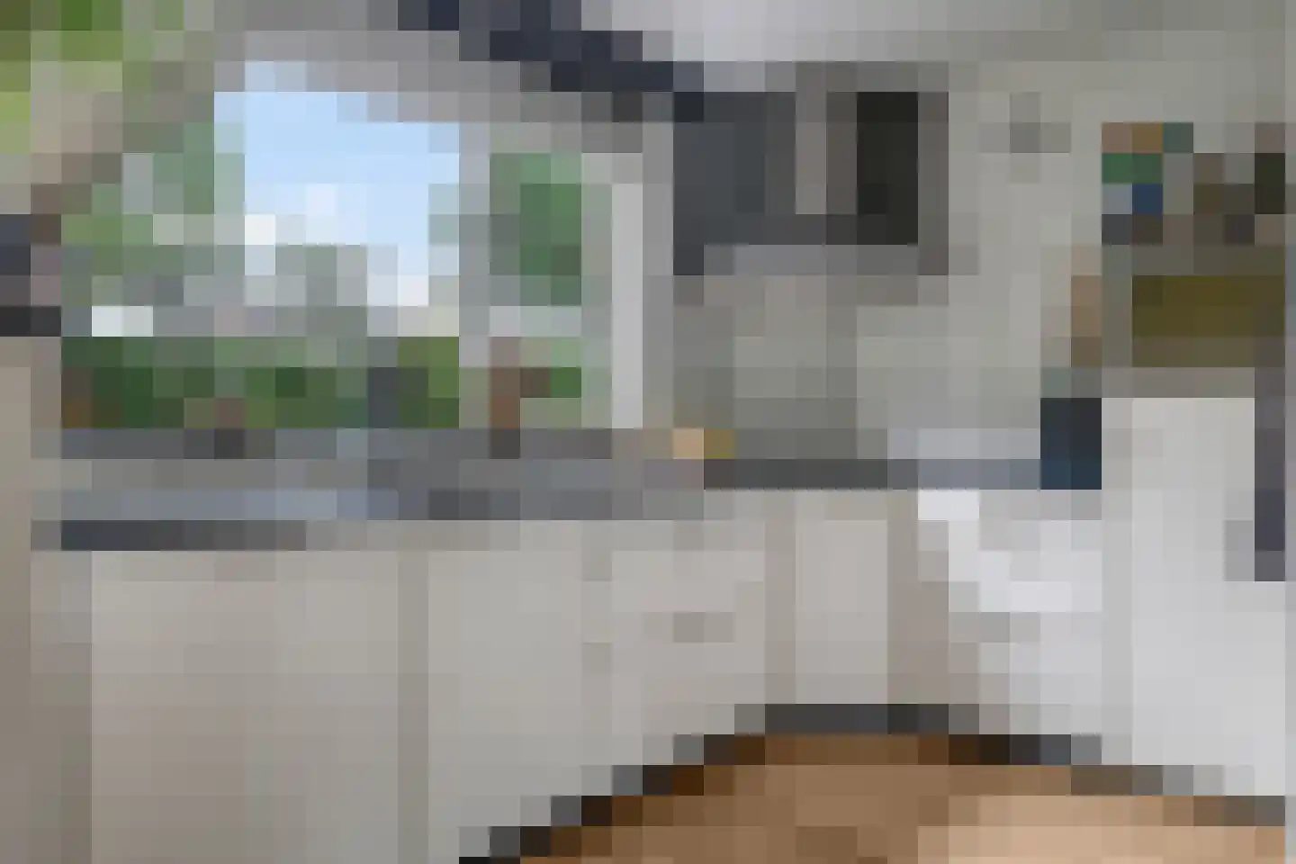 Appelbloesem 1 Doetinchem thumbnail 4