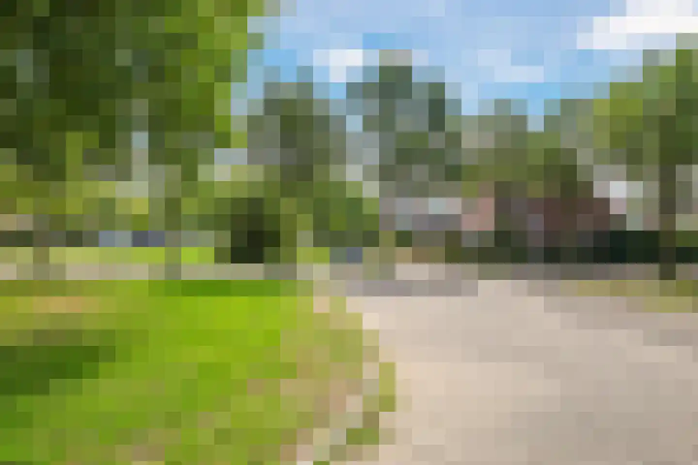 Appelbloesem 1 Doetinchem thumbnail 40