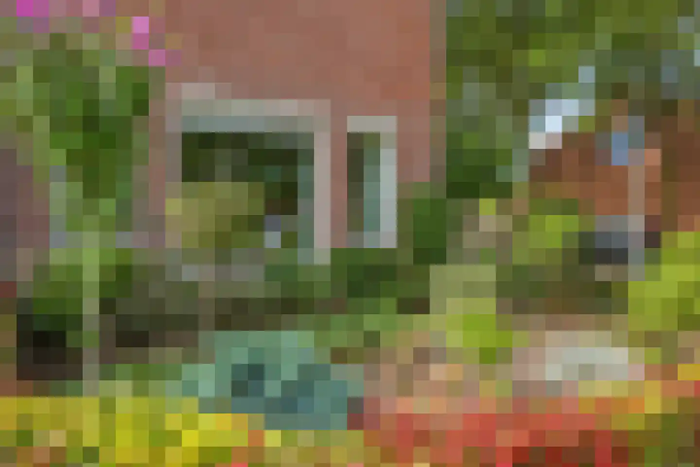 Appelbloesem 1 Doetinchem thumbnail 6