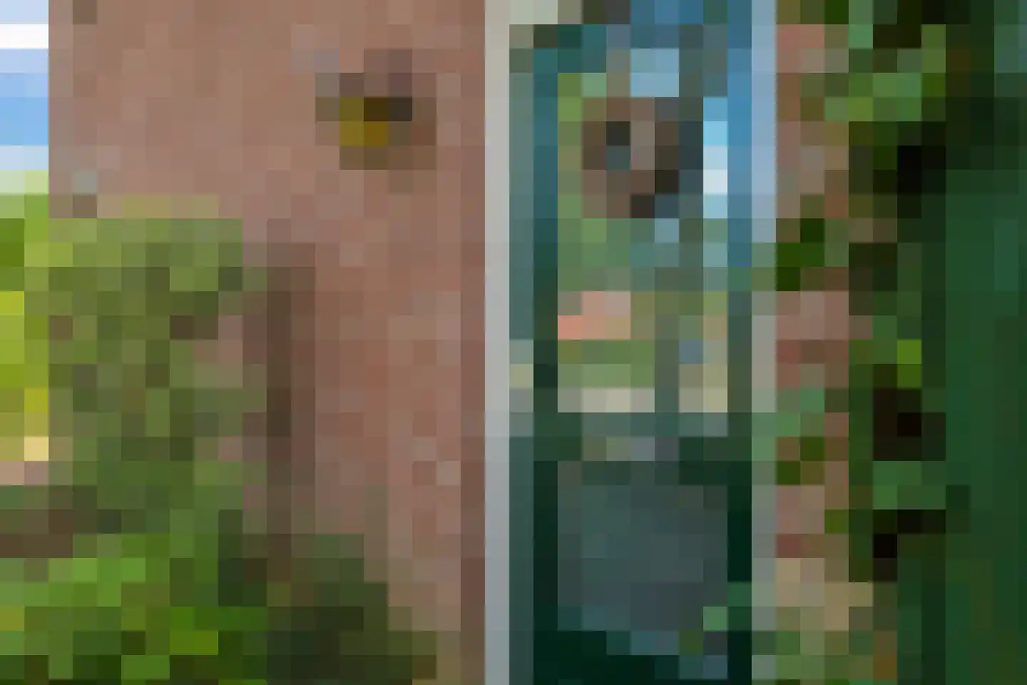 Appelbloesem 1 Doetinchem thumbnail 7