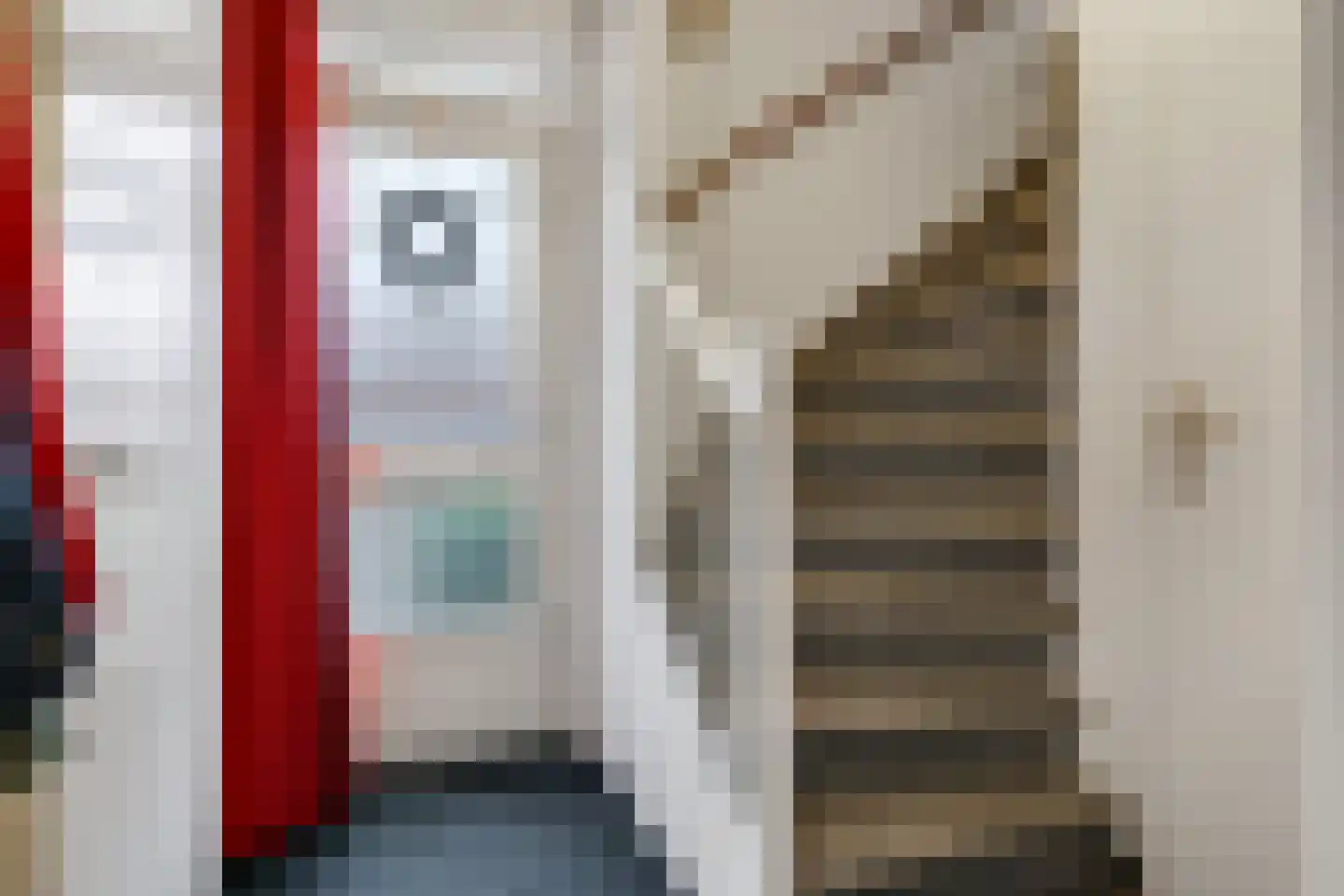 Appelbloesem 1 Doetinchem thumbnail 8