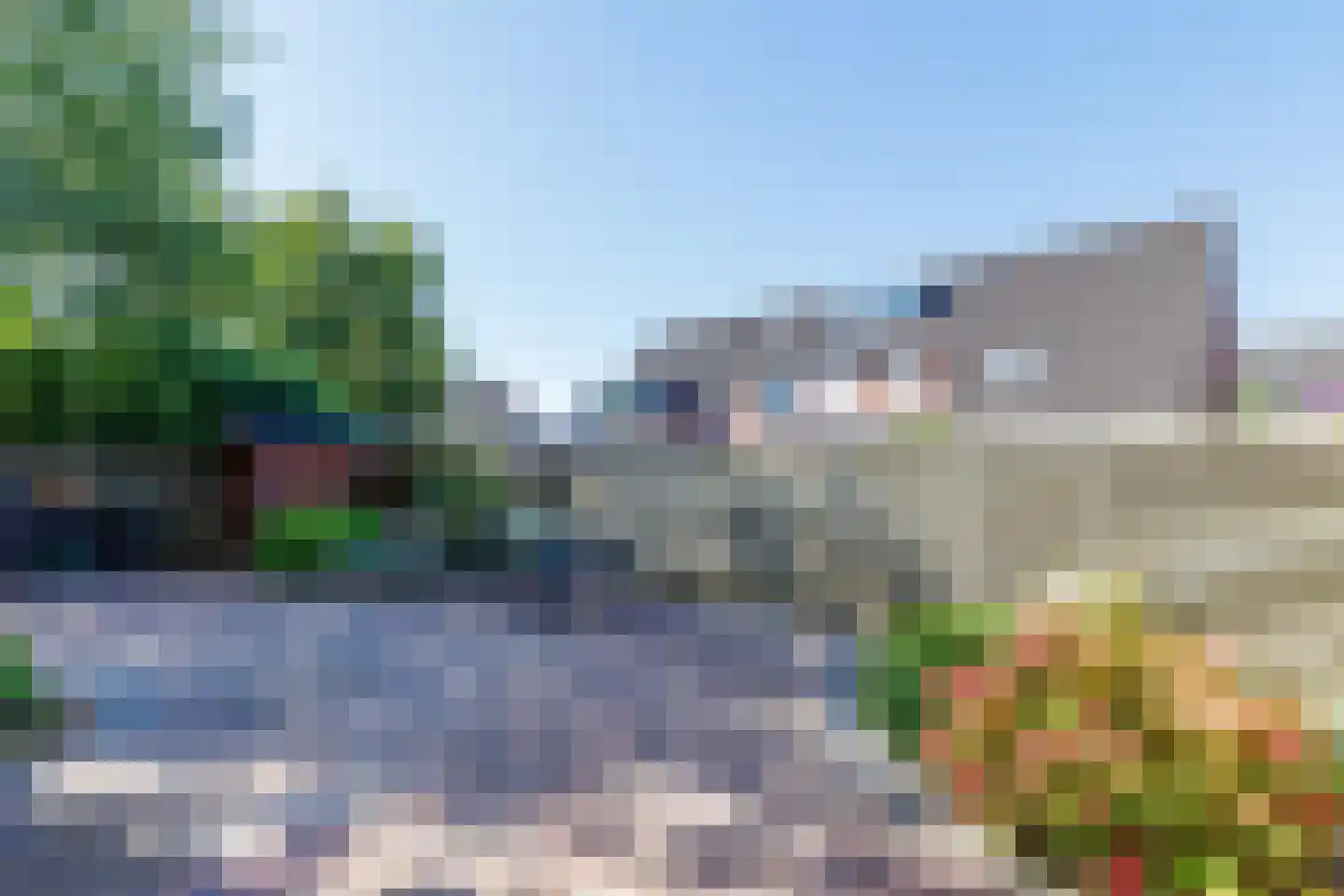 Appelbloesem 11 Doetinchem thumbnail 12