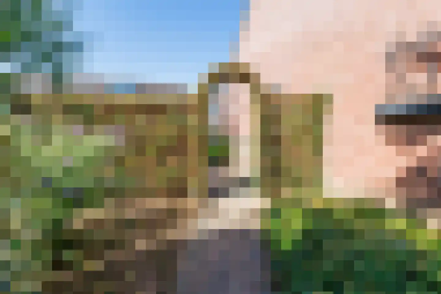 Appelbloesem 11 Doetinchem thumbnail 13