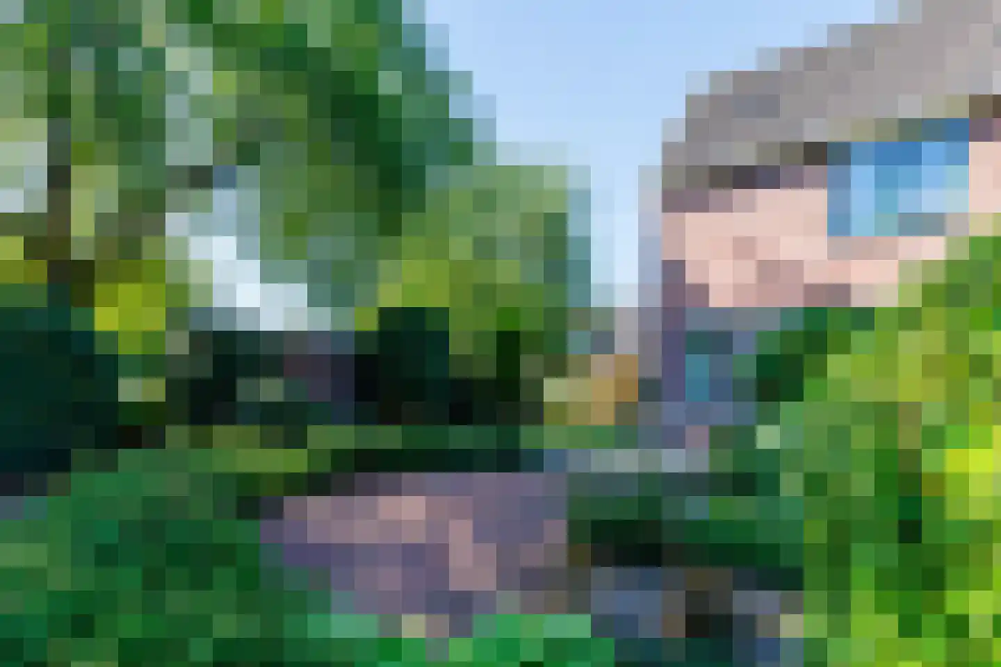 Appelbloesem 11 Doetinchem thumbnail 16