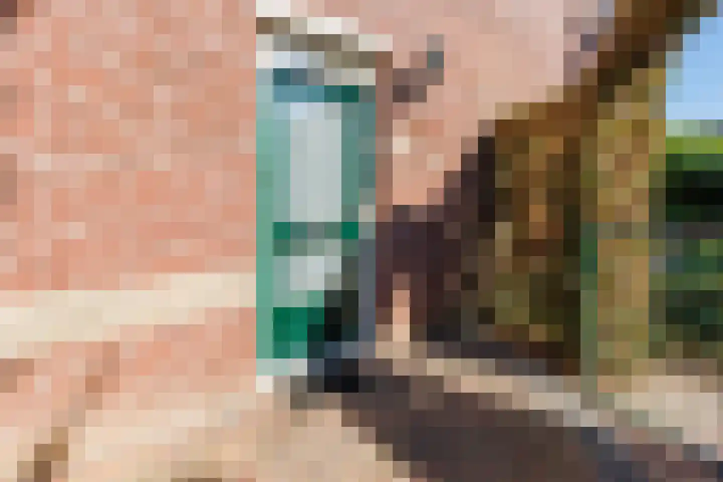 Appelbloesem 11 Doetinchem thumbnail 17
