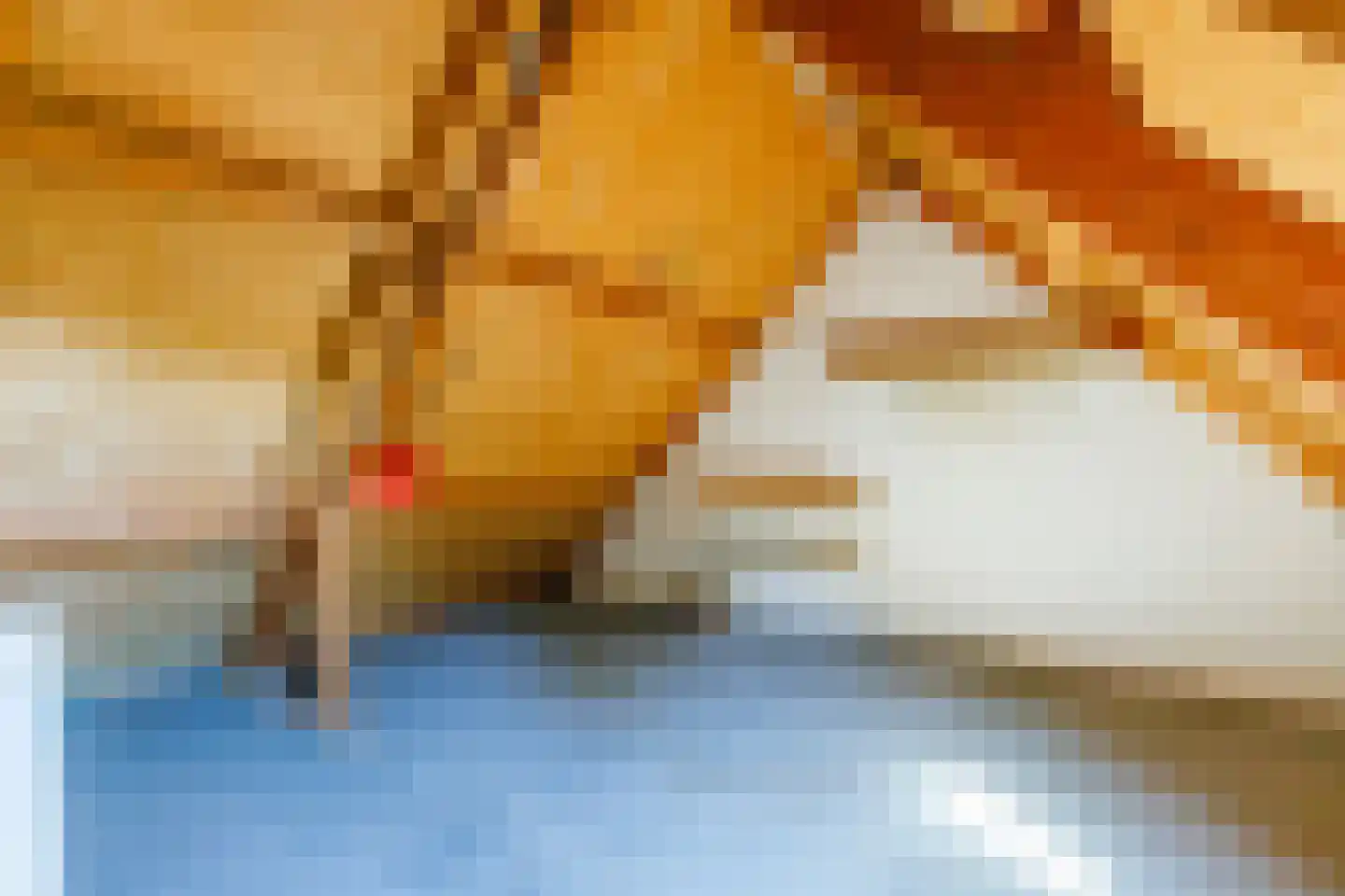 Appelbloesem 11 Doetinchem thumbnail 30