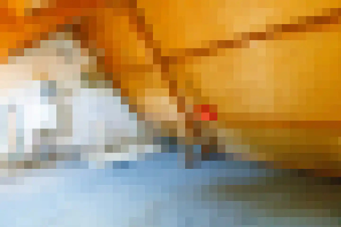 Appelbloesem 11 Doetinchem thumbnail 31
