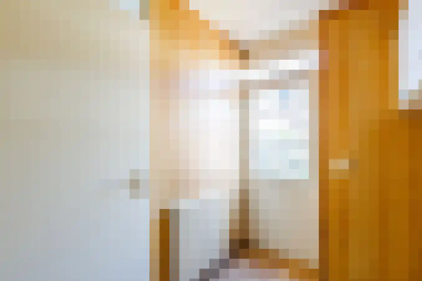 Appelbloesem 11 Doetinchem thumbnail 9