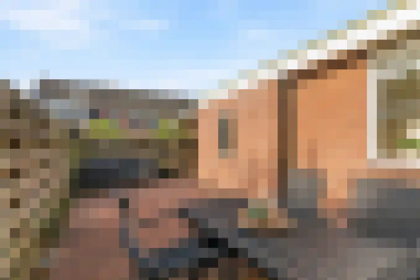 Appelbloesem 7 Doetinchem thumbnail 19