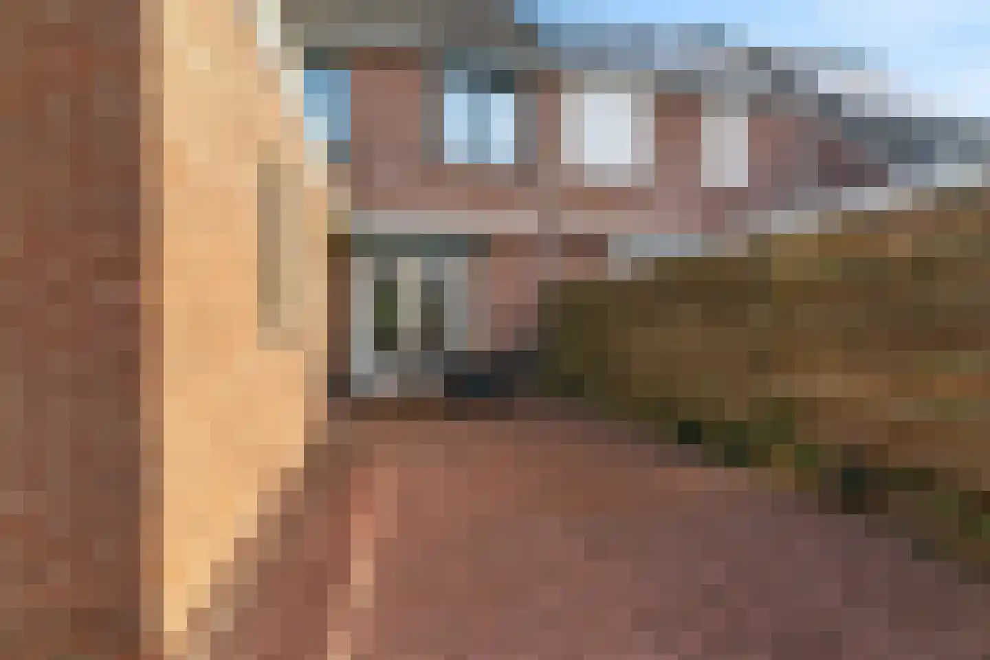 Appelbloesem 7 Doetinchem thumbnail 20