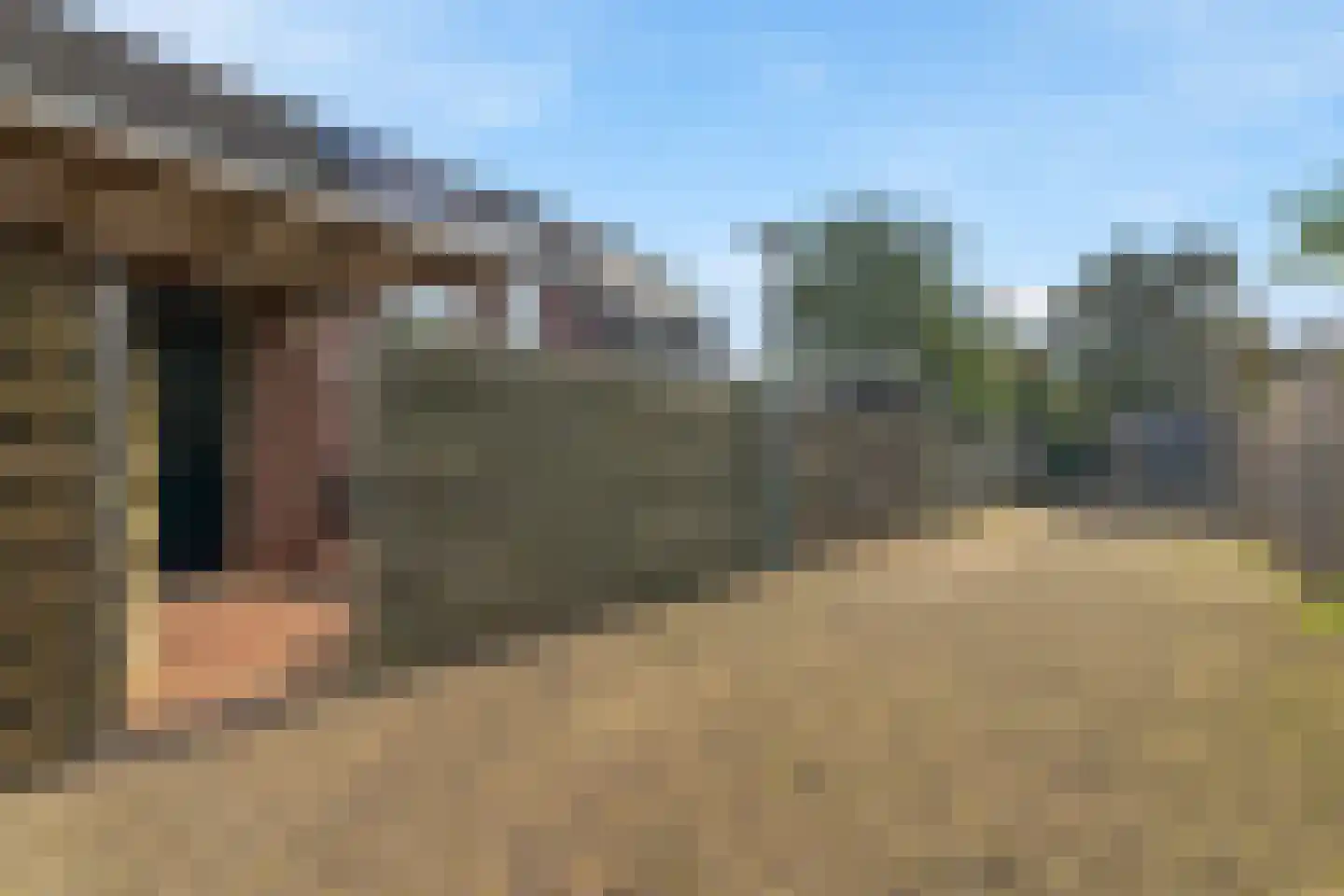 Appelbloesem 7 Doetinchem thumbnail 22