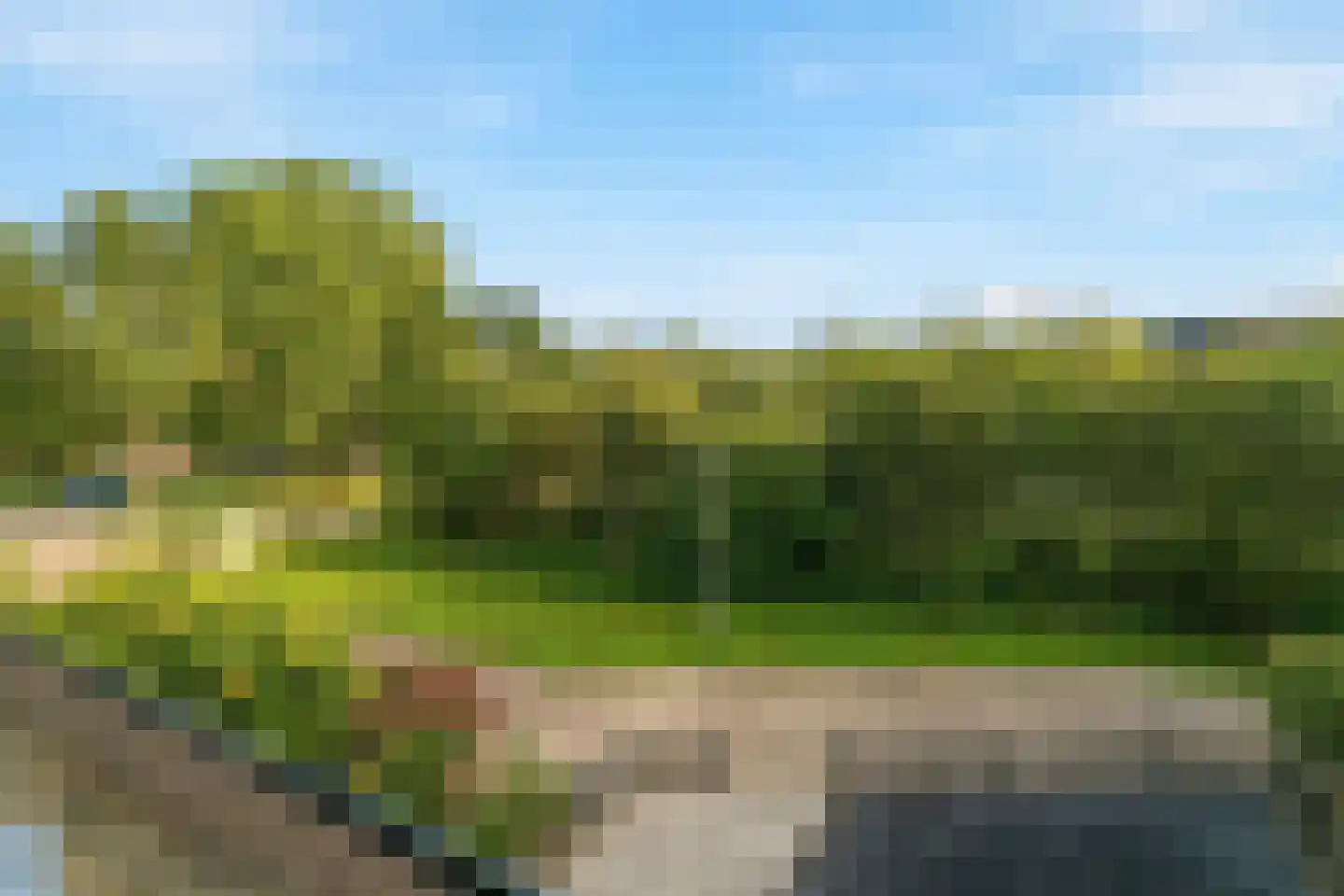 Appelbloesem 7 Doetinchem thumbnail 29