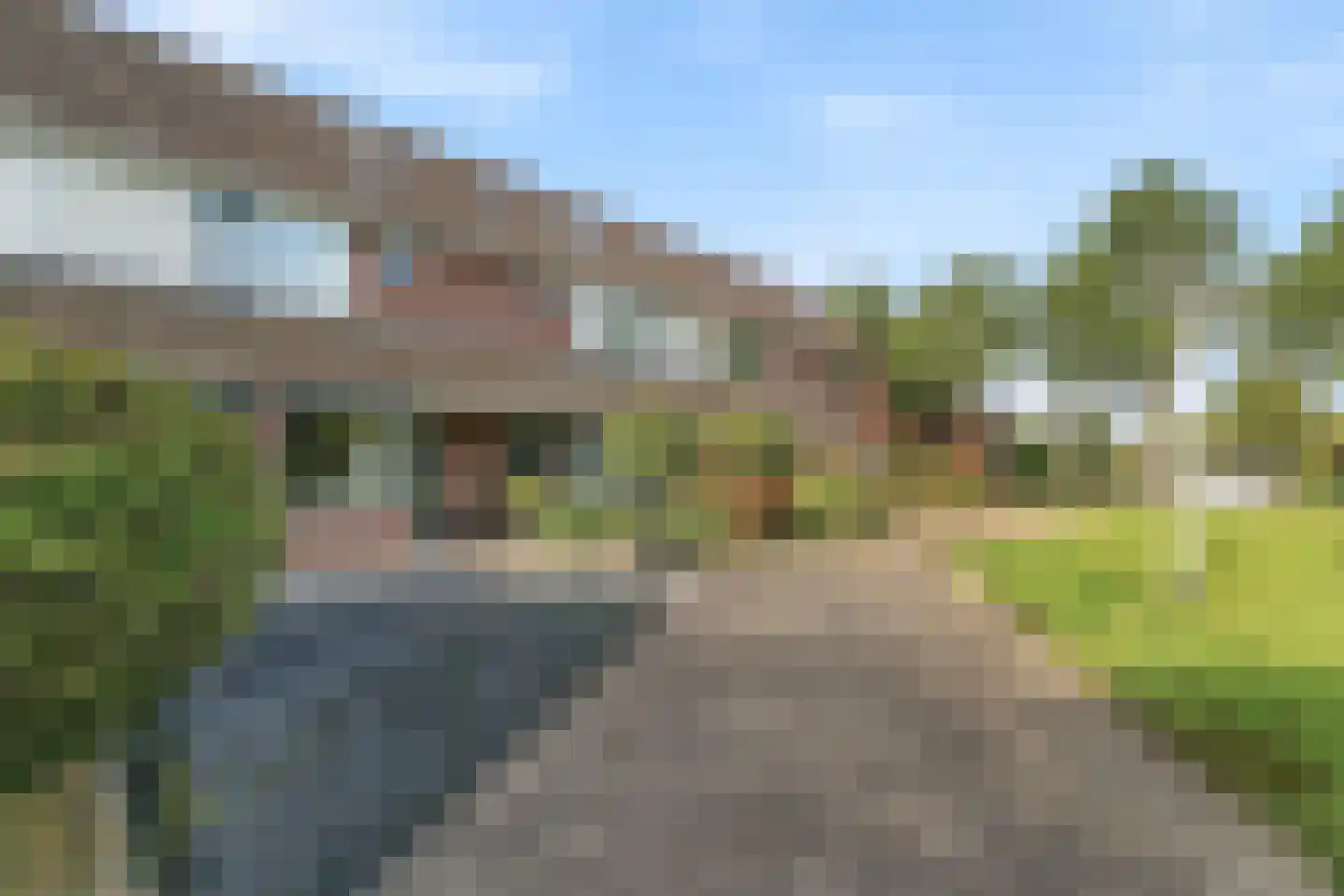 Appelbloesem 7 Doetinchem thumbnail 42