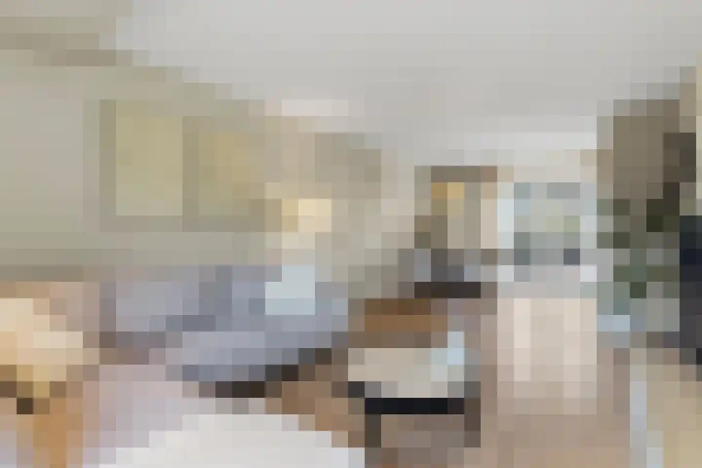Appelbloesem 7 Doetinchem thumbnail 6