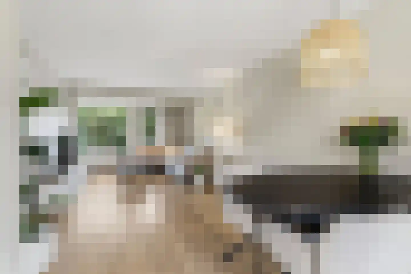 Appelbloesem 7 Doetinchem thumbnail 9
