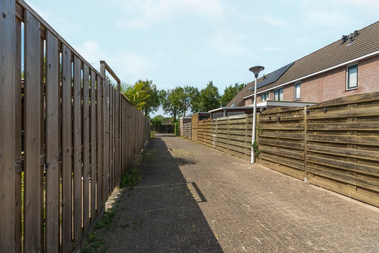 Appelbloesem 9 Doetinchem thumbnail 40