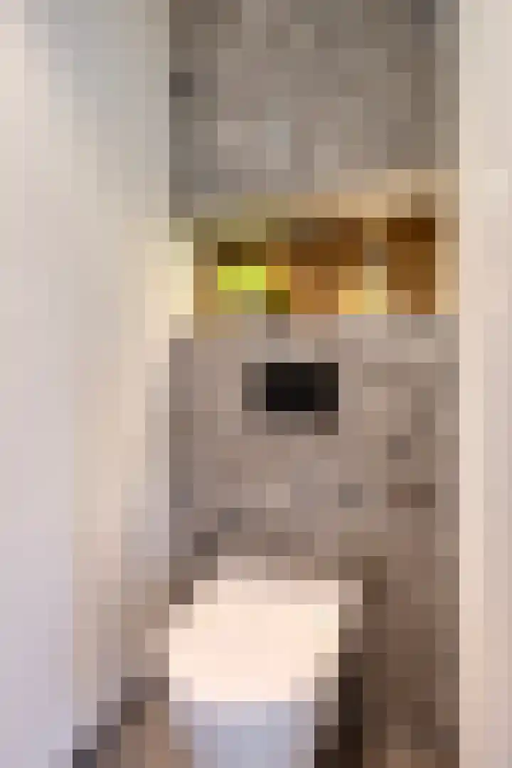 Appelbloesemstraat 12 Eindhoven thumbnail 10