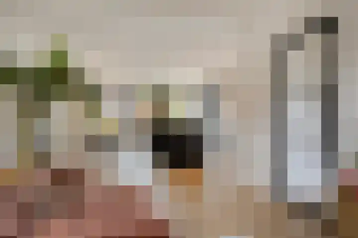 Appelbloesemstraat 12 Eindhoven thumbnail 11