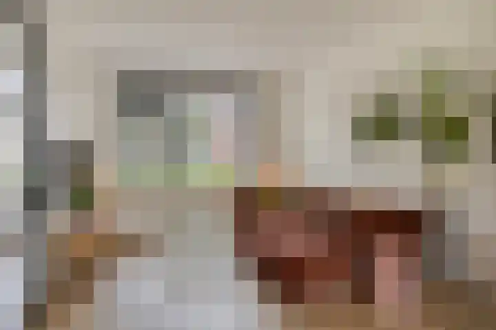 Appelbloesemstraat 12 Eindhoven thumbnail 12