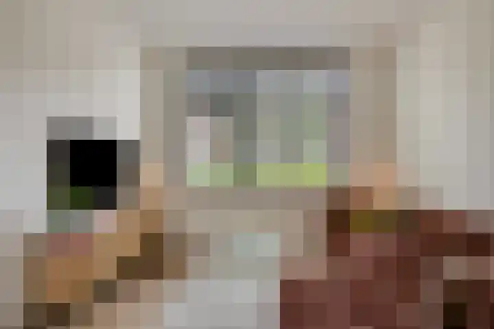 Appelbloesemstraat 12 Eindhoven thumbnail 13