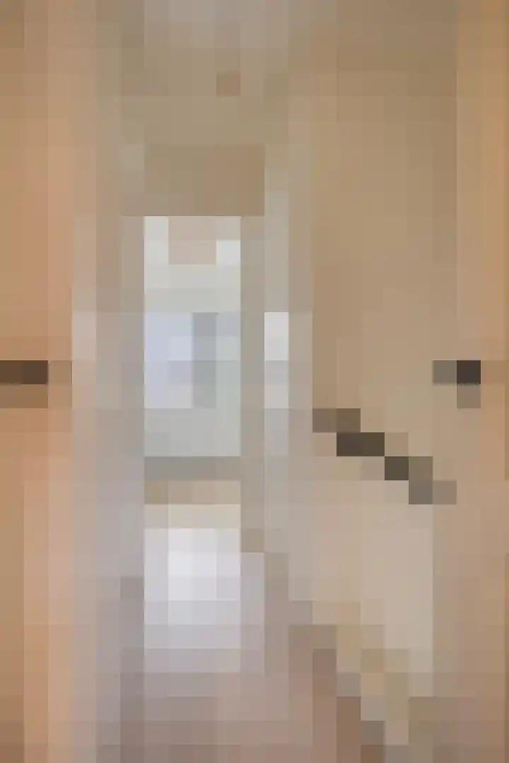 Appelbloesemstraat 12 Eindhoven thumbnail 23