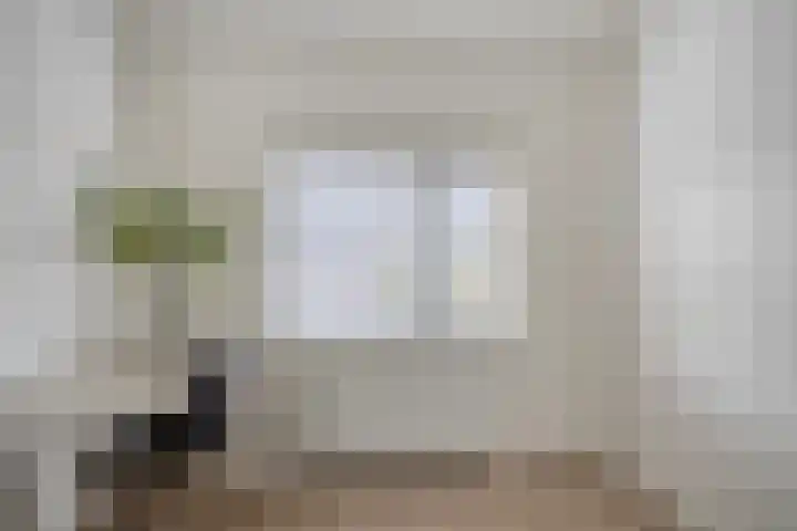 Appelbloesemstraat 12 Eindhoven thumbnail 24