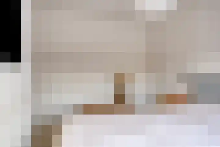Appelbloesemstraat 12 Eindhoven thumbnail 27