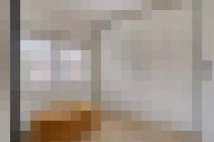 Appelbloesemstraat 12 Eindhoven thumbnail 28