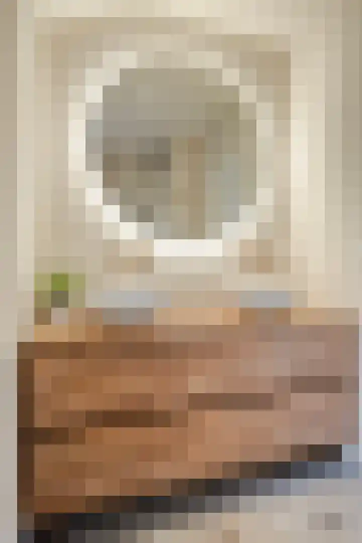 Appelbloesemstraat 12 Eindhoven thumbnail 31