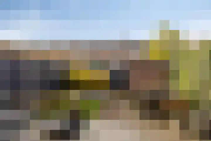 Appelbloesemstraat 12 Eindhoven thumbnail 33