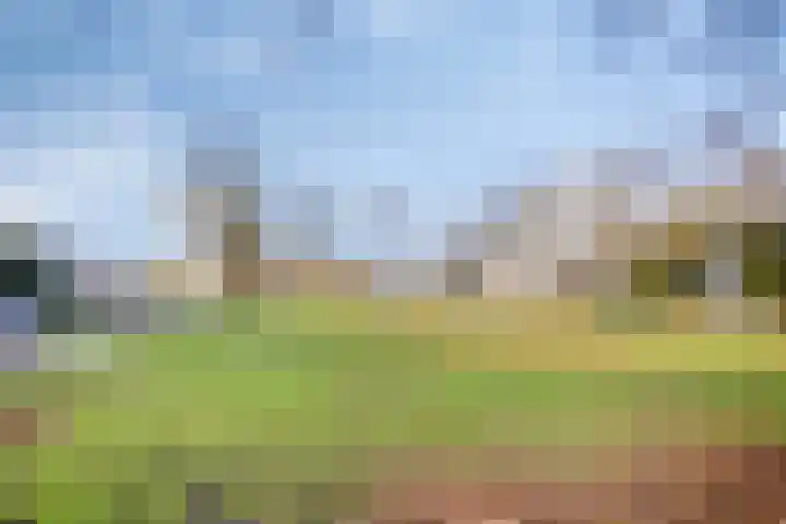 Appelbloesemstraat 12 Eindhoven thumbnail 36