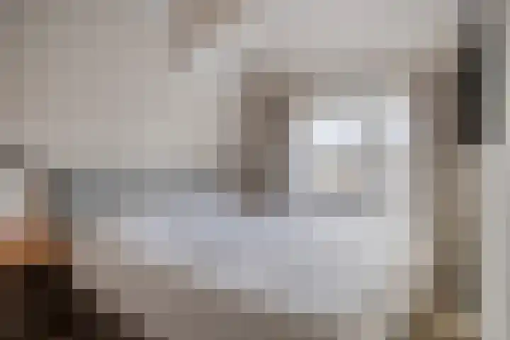 Appelbloesemstraat 12 Eindhoven thumbnail 5
