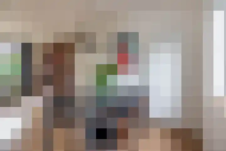 Appelbloesemstraat 24 Eindhoven thumbnail 13