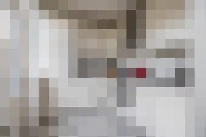 Appelbloesemstraat 24 Eindhoven thumbnail 14