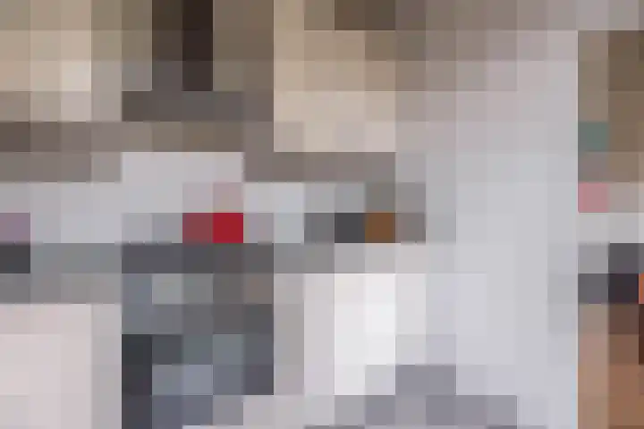 Appelbloesemstraat 24 Eindhoven thumbnail 15