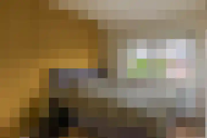 Appelbloesemstraat 24 Eindhoven thumbnail 20