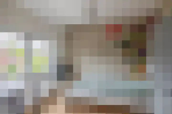 Appelbloesemstraat 24 Eindhoven thumbnail 21