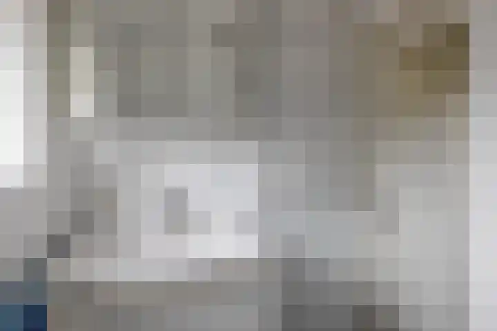 Appelbloesemstraat 24 Eindhoven thumbnail 23