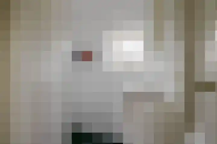 Appelbloesemstraat 24 Eindhoven thumbnail 24