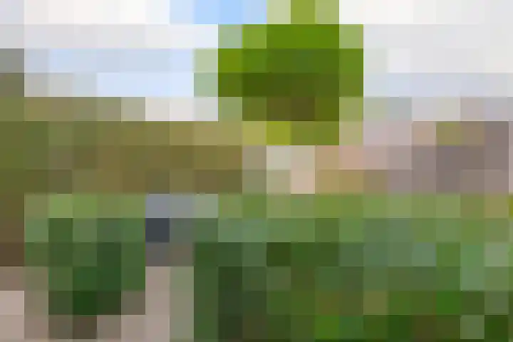 Appelbloesemstraat 24 Eindhoven thumbnail 26