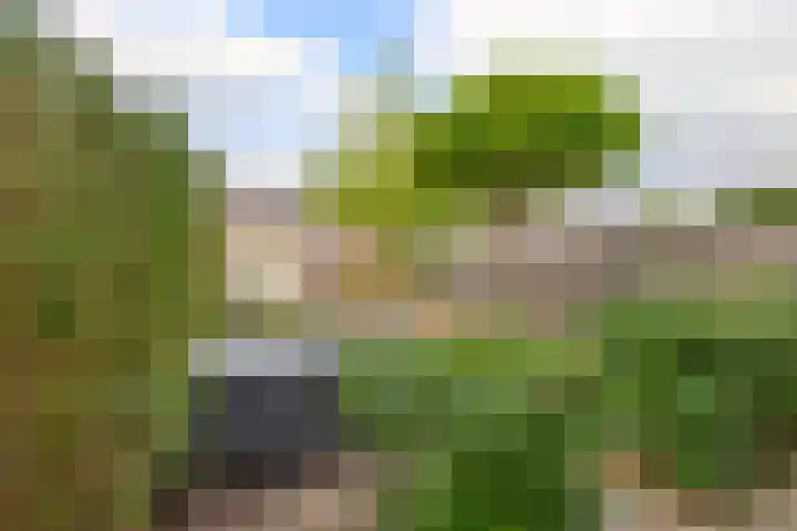 Appelbloesemstraat 24 Eindhoven thumbnail 27
