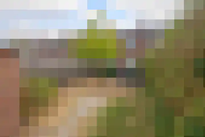 Appelbloesemstraat 24 Eindhoven thumbnail 28