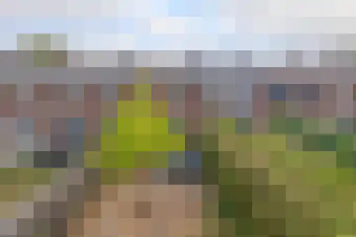 Appelbloesemstraat 24 Eindhoven thumbnail 29