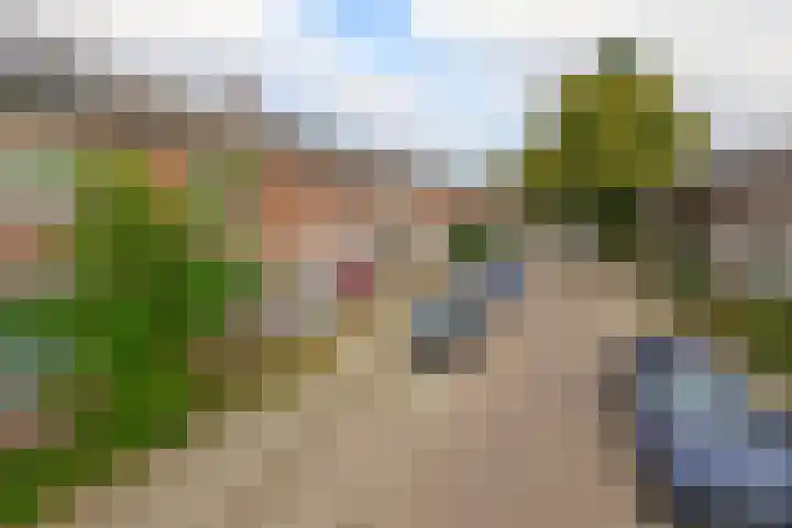 Appelbloesemstraat 24 Eindhoven thumbnail 31