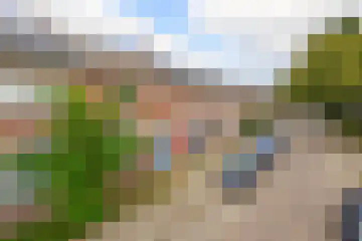 Appelbloesemstraat 24 Eindhoven thumbnail 34