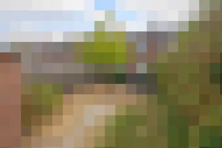 Appelbloesemstraat 24 Eindhoven thumbnail 5
