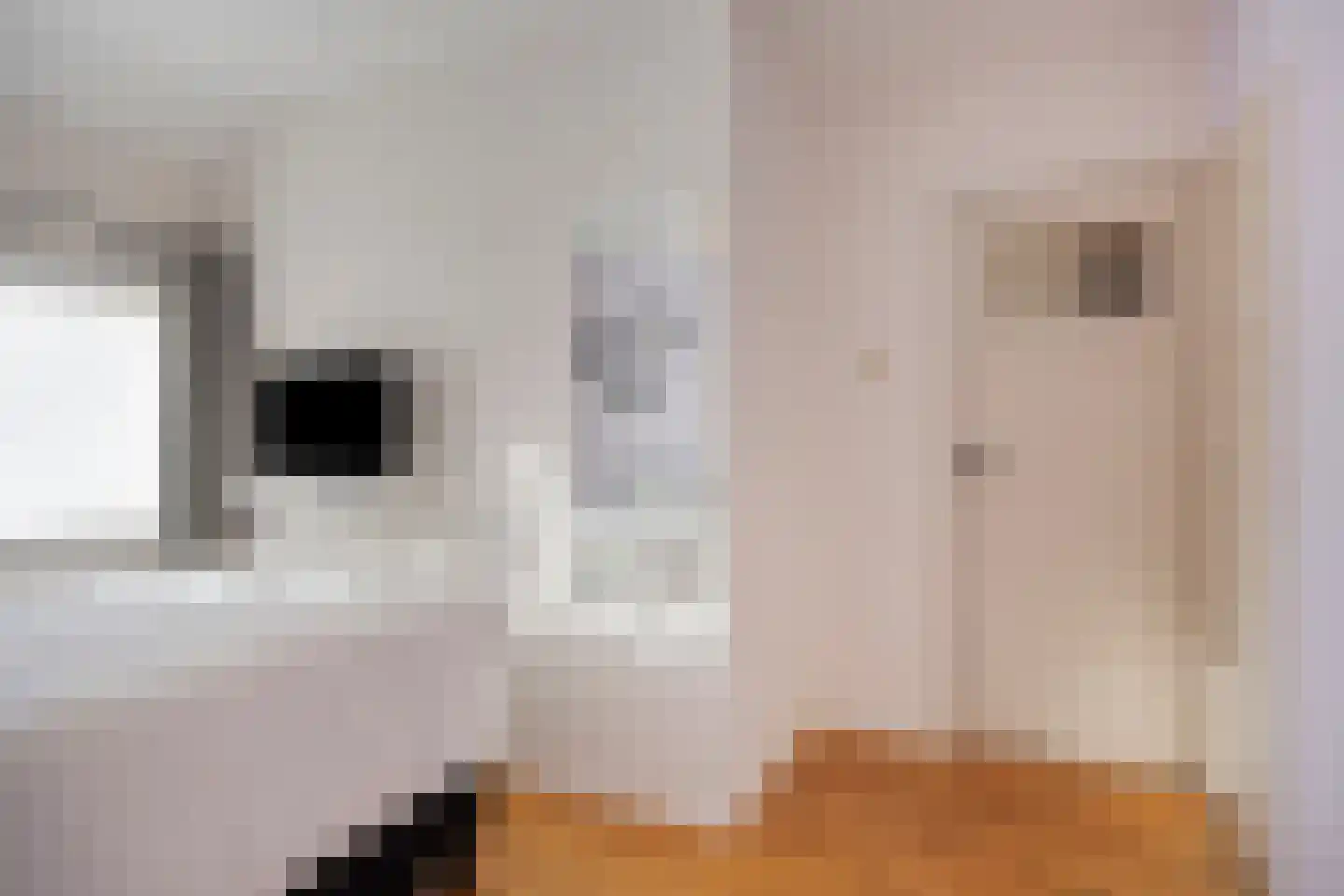Appelbloesemstraat 4 Eindhoven thumbnail 22