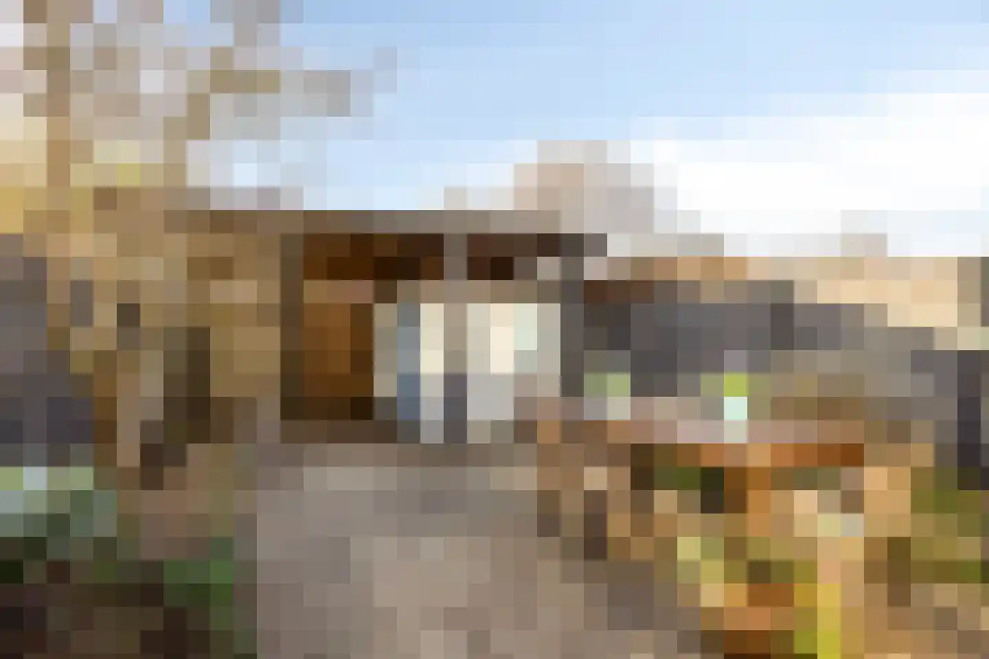 Appelbloesemstraat 4 Eindhoven thumbnail 33