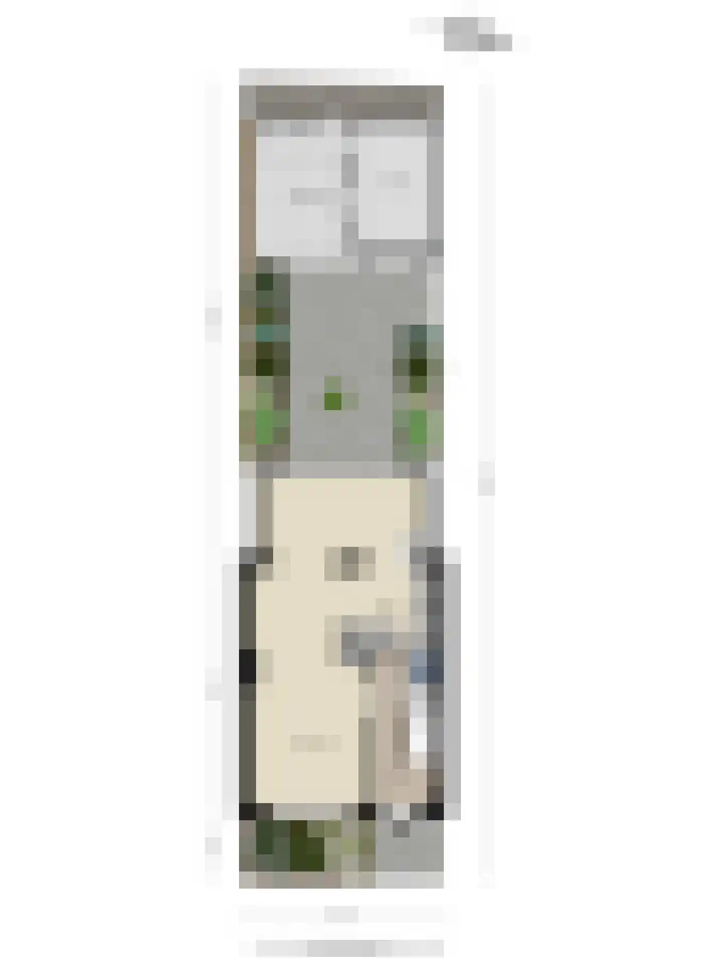 Appelbloesemstraat 4 Eindhoven thumbnail 42