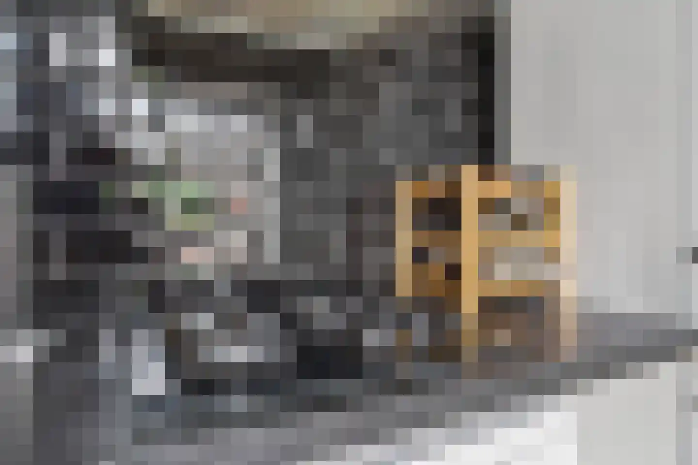 Appelbloesemstraat 8 Eindhoven thumbnail 21